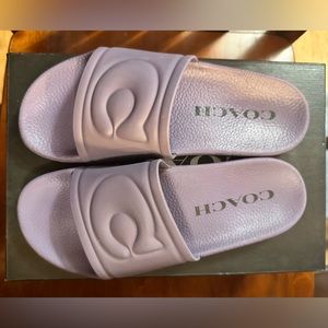 Purple Coach slides